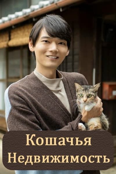 Кошачья недвижимость [1 - 1 серии]