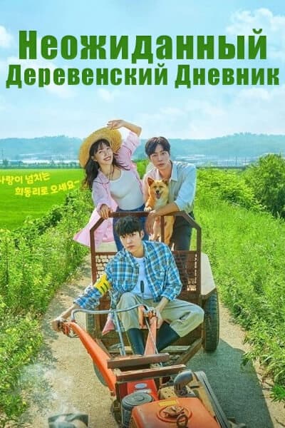 Неожиданный деревенский дневник [1 - 12 серии из 12]