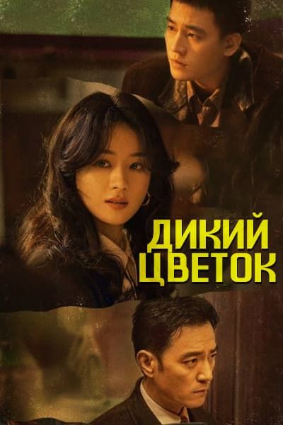 Дикий цветок [1 - 36 серии из 36]