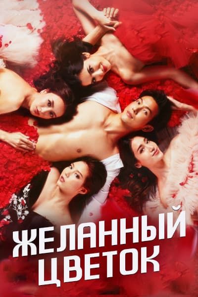 Желанный цветок [1 - 16 серии из 16]