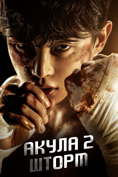 Акула 2: Шторм [1 - 1 серии из 6]
