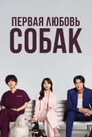 Первая любовь собак [1 - 1 серии из 12+]